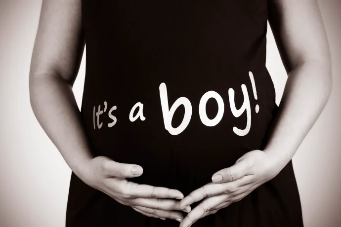 الحمل في ولد